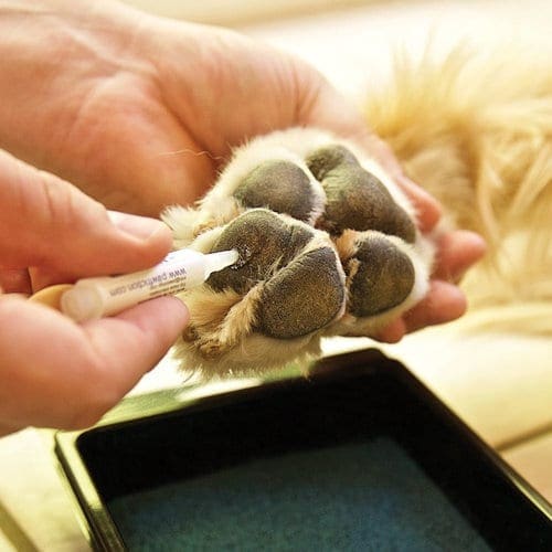 Small Paw Pads for the Socks, Silicone Paw Pads, DIY, Pads for