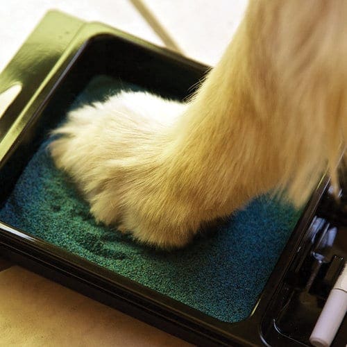  Mags Paw Grips - Anti-Slip Traction For Dogs On Hardwood  Floors - Nail Wraps For Senior Dogs