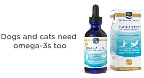 Nordic Naturals Omega-3 - Fish Oil for Cats & Dogs | Pawtology