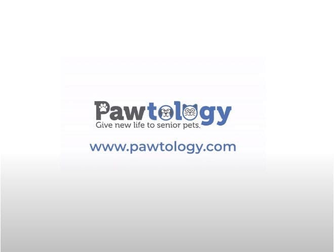 pawfriction petsmart