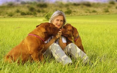 Summer Activities With Your Pet:  4 Ideas for Senior Dogs