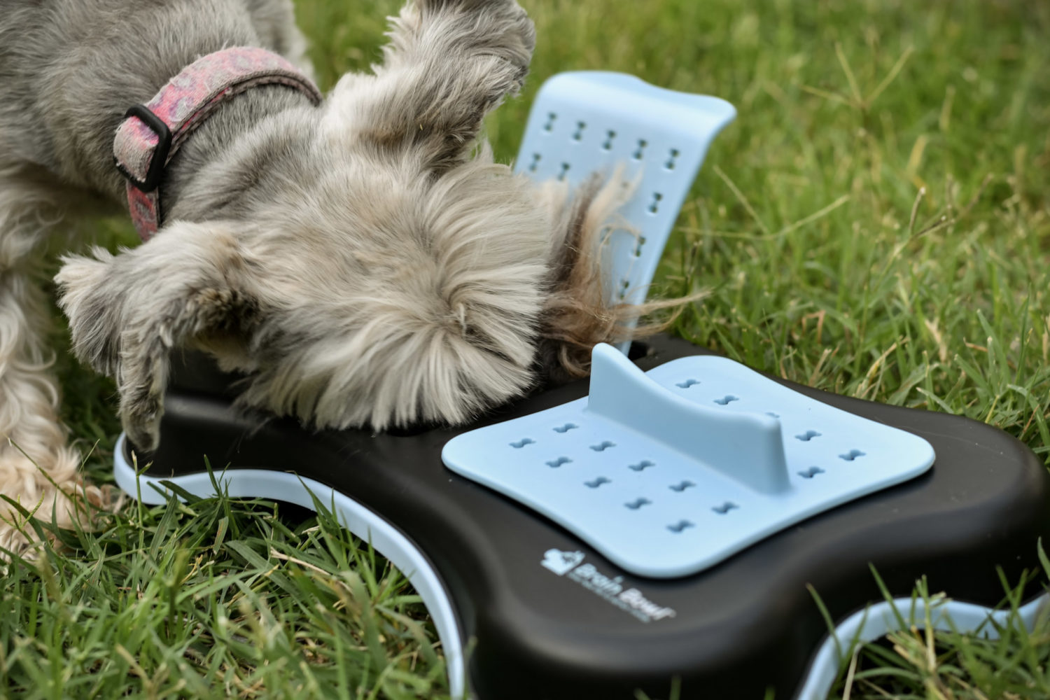 Brain Bowl™ for Dog Dementia  Cognitive Decline Dog Puzzle Toy