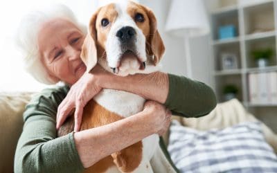 5 Tips for Slowing Cognitive Decline in Senior Dogs