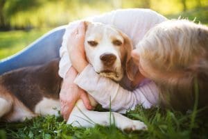 NOVEMBER Is Adopt a Senior Pet Month