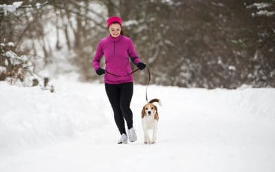 Take a Stroll With Fido: January Is Walk Your Dog Month!