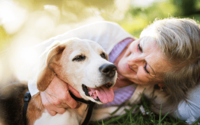 Is Dog Dementia A Real Thing?