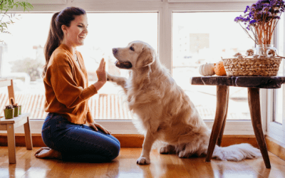 Yes, You Can Teach an Old Dog New Tricks—Start This January!