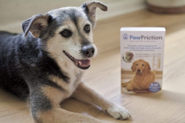 Large dog Pawfriction Bundle