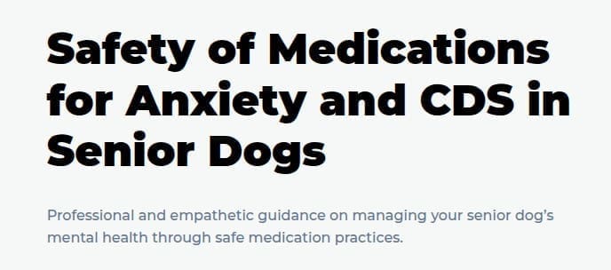medication-safety-senior-dog-anxiety-and-cds
